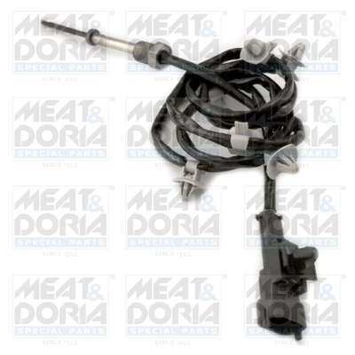 Sensor, exhaust gas temperature